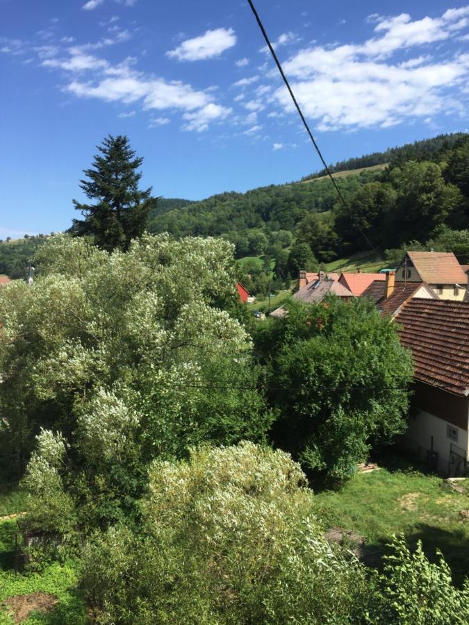 Chambres D'Hotes A La Fecht Nature Et Bien-Etre Sondernach Exterior foto